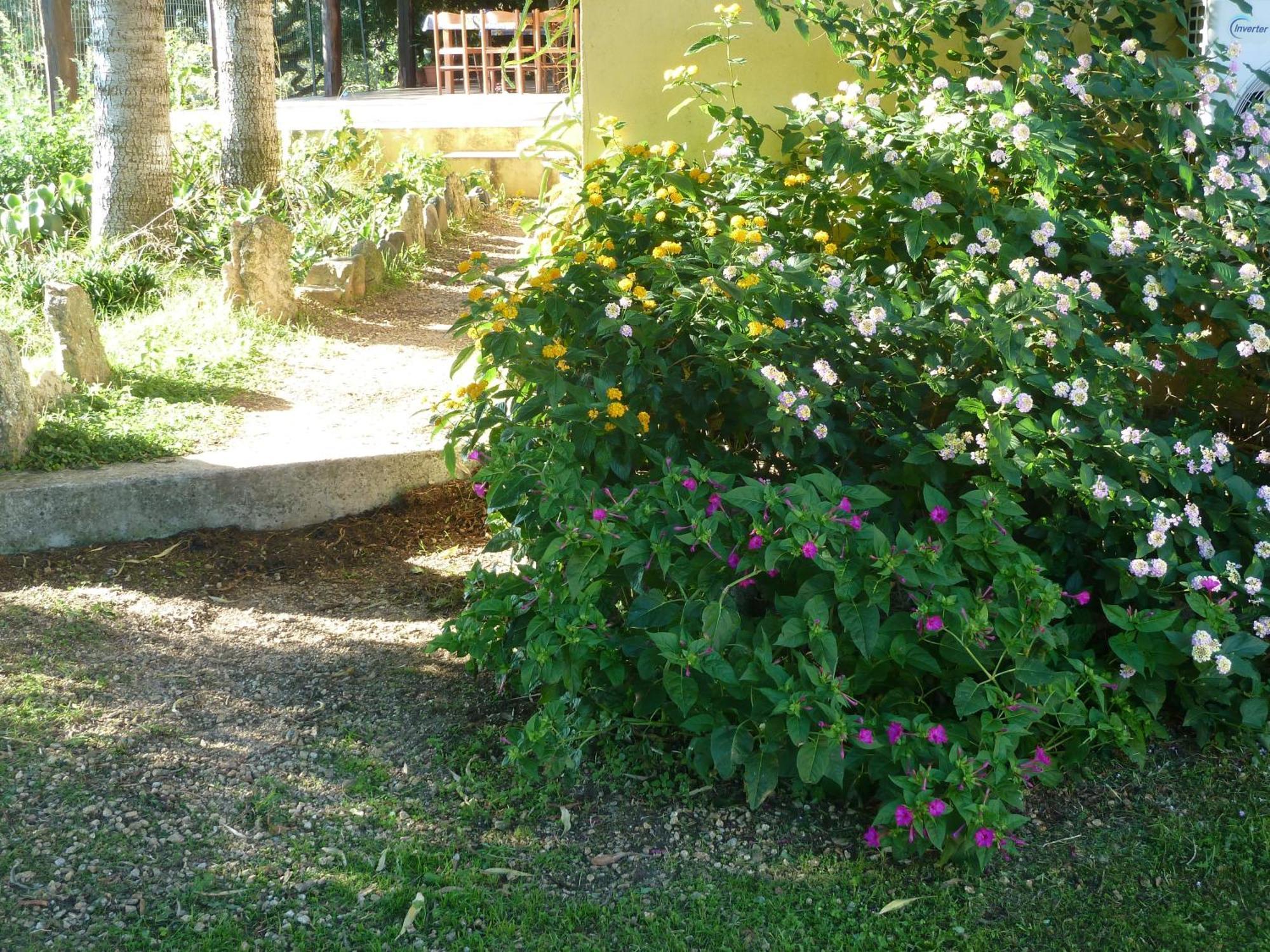 Agriturismo Vaddidulimu Luogosanto Esterno foto
