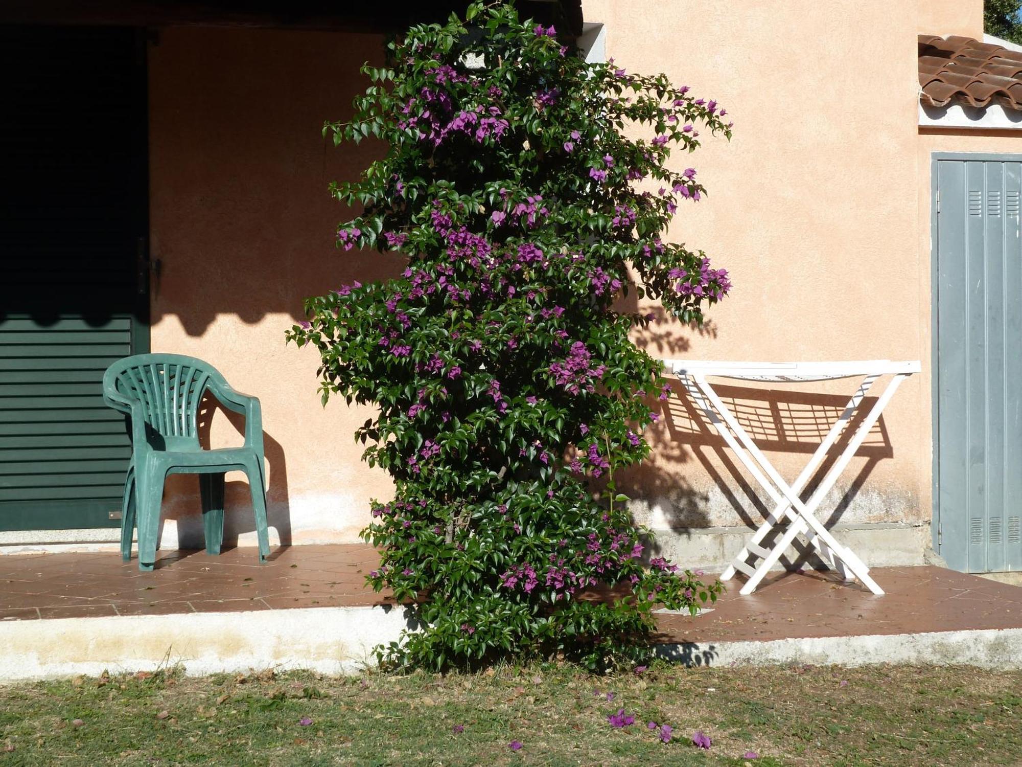 Agriturismo Vaddidulimu Luogosanto Esterno foto