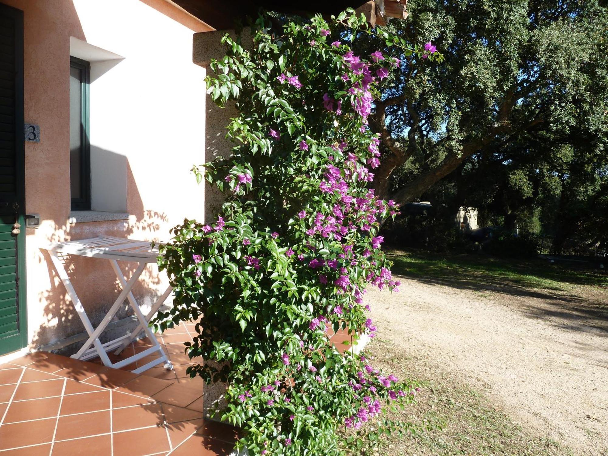 Agriturismo Vaddidulimu Luogosanto Esterno foto
