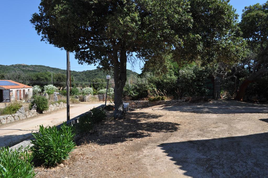 Agriturismo Vaddidulimu Luogosanto Esterno foto